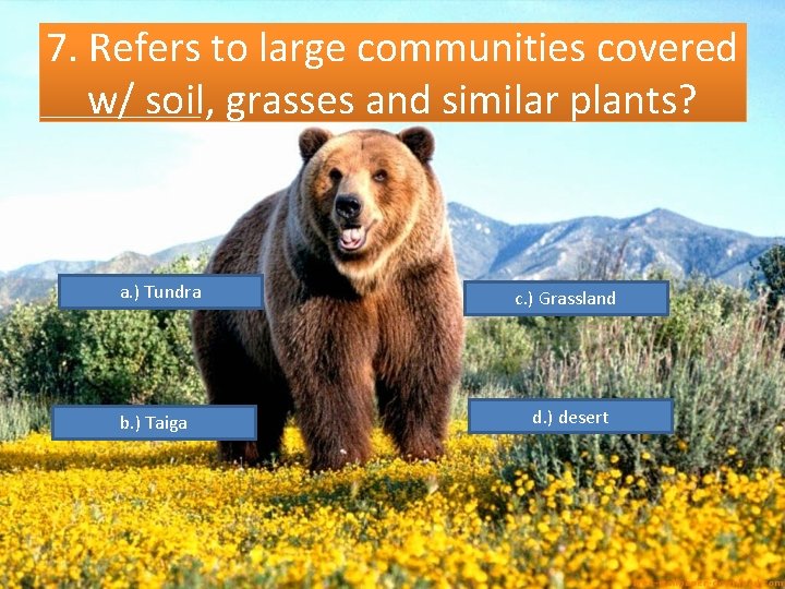 7. Refers to large communities covered w/ soil, grasses and similar plants? a. )