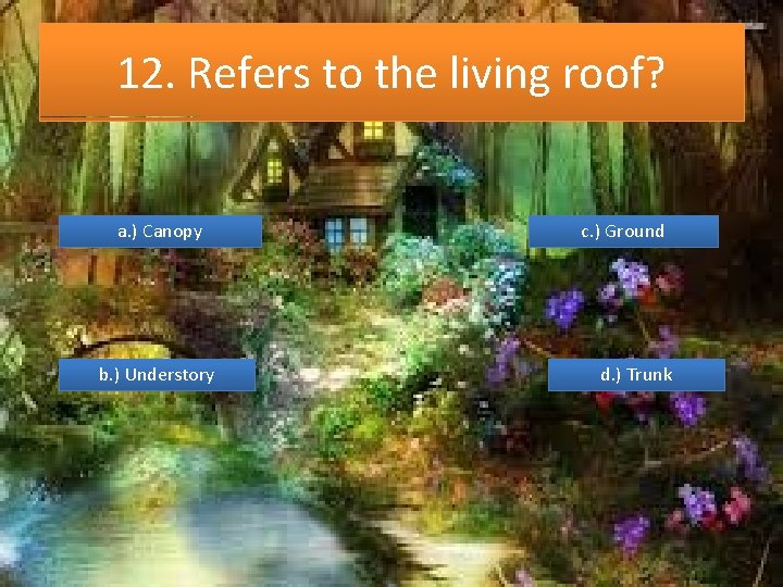 12. Refers to the living roof? a. ) Canopy b. ) Understory c. )