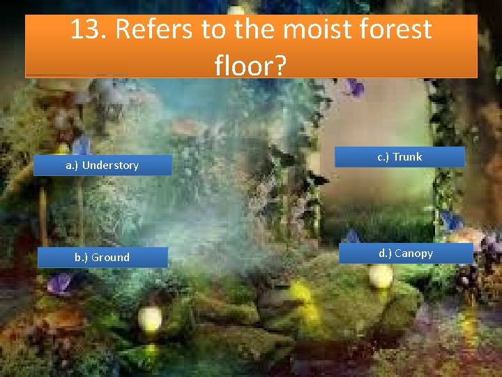 13. Refers to the moist forest floor? a. ) Understory b. ) Ground c.