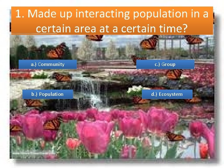 1. Made up interacting population in a certain area at a certain time? a.