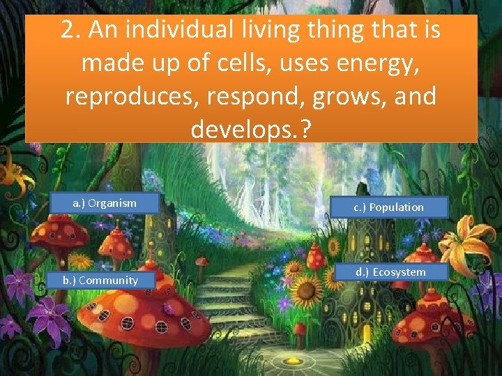 2. An individual living that is made up of cells, uses energy, reproduces, respond,