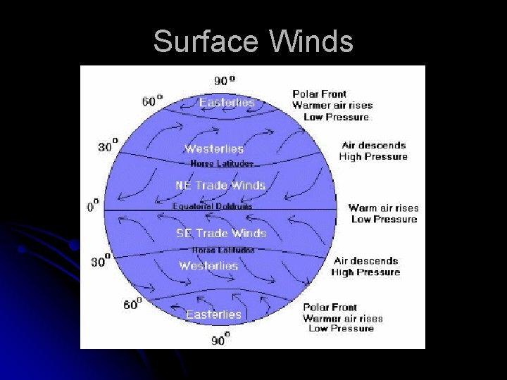 Surface Winds 