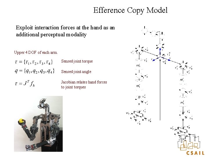 Efference Copy Model Exploit interaction forces at the hand as an additional perceptual modality