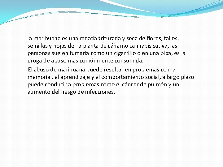 La marihuana es una mezcla triturada y seca de flores, tallos, semillas y hojas