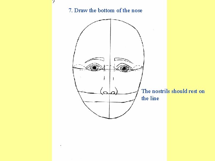 7. Draw the bottom of the nose The nostrils should rest on the line 7. Draw the bottom of the nose The nostrils should rest on the line