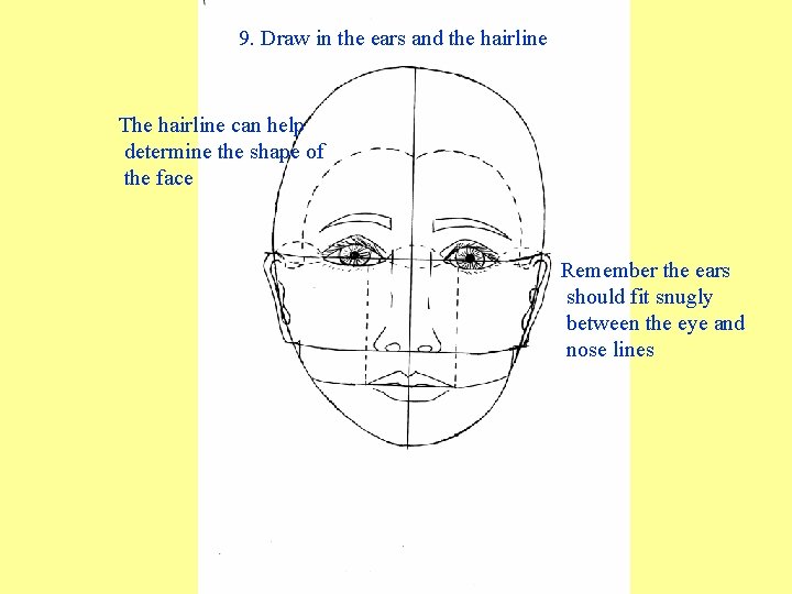 9. Draw in the ears and the hairline The hairline can help determine the 9. Draw in the ears and the hairline The hairline can help determine the
