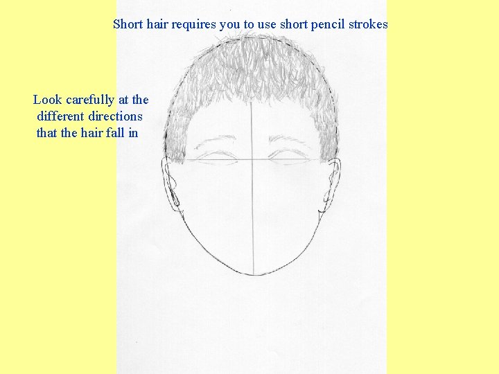 Short hair requires you to use short pencil strokes Look carefully at the different Short hair requires you to use short pencil strokes Look carefully at the different