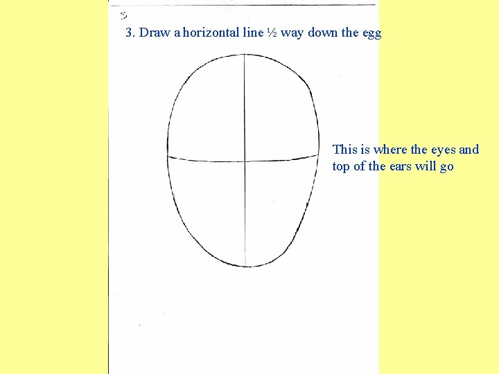 3. Draw a horizontal line ½ way down the egg This is where the 3. Draw a horizontal line ½ way down the egg This is where the