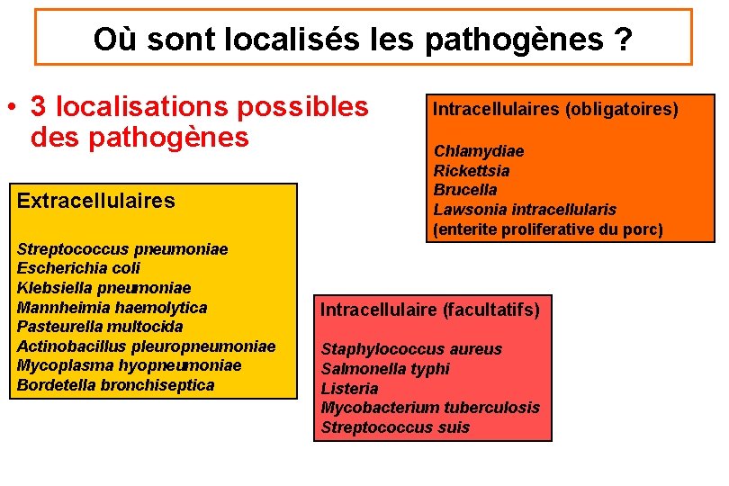 Où sont localisés les pathogènes ? • 3 localisations possibles des pathogènes Extracellulaires Streptococcus