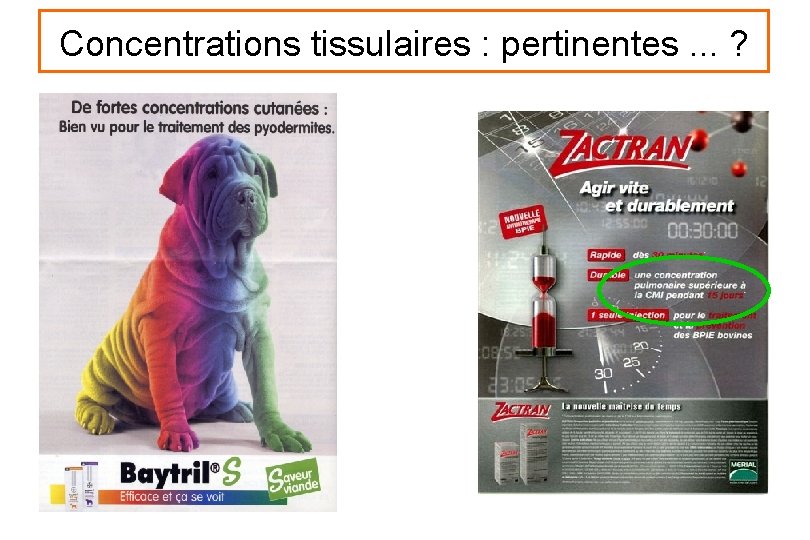 Concentrations tissulaires : pertinentes. . . ? 