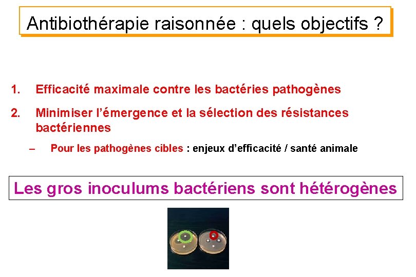 Antibiothérapie raisonnée : quels objectifs ? 1. Efficacité maximale contre les bactéries pathogènes 2.