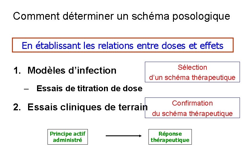 Comment déterminer un schéma posologique En établissant les relations entre doses et effets 1.