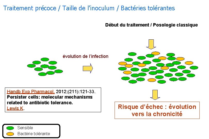 Traitement précoce / Taille de l’inoculum / Bactéries tolérantes Début du traitement / Posologie