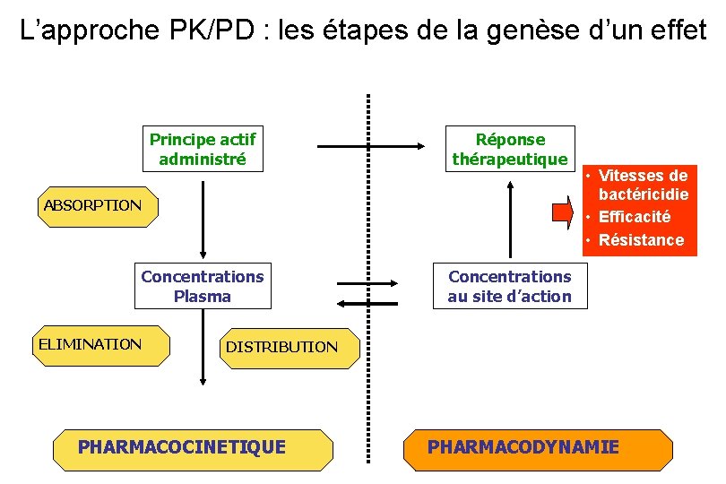 L’approche PK/PD : les étapes de la genèse d’un effet Principe actif administré Réponse