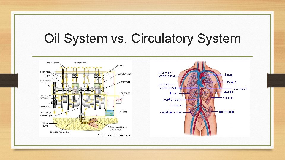 Comparison and Contrast Setting Things Side by Side