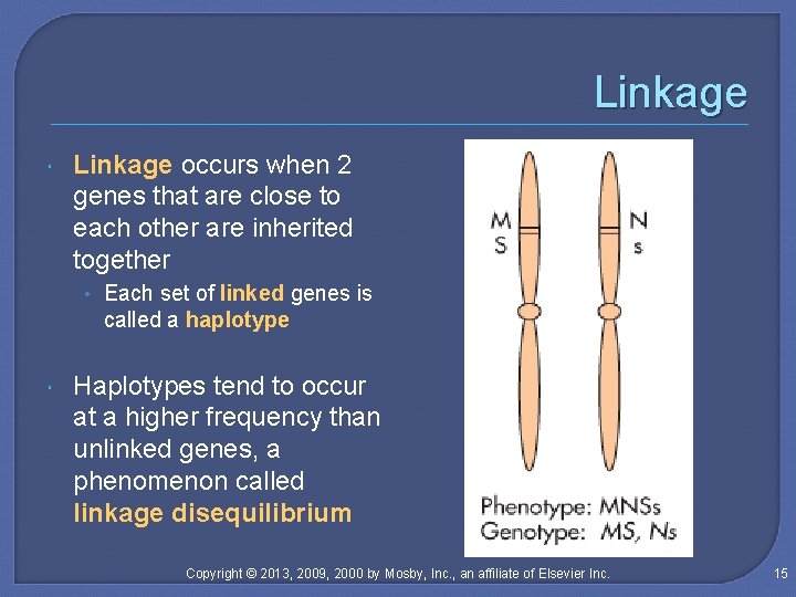 Linkage occurs when 2 genes that are close to each other are inherited together