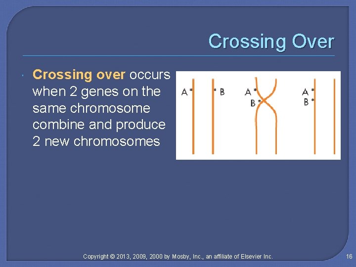Crossing Over Crossing over occurs when 2 genes on the same chromosome combine and