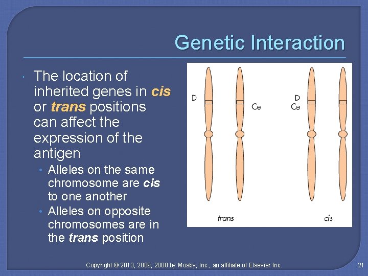 Genetic Interaction The location of inherited genes in cis or trans positions can affect