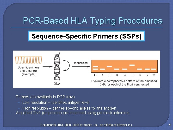 PCR-Based HLA Typing Procedures Sequence-Specific Primers (SSPs) Primers are available in PCR trays •