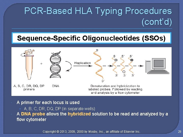 PCR-Based HLA Typing Procedures (cont’d) Sequence-Specific Oligonucleotides (SSOs) A primer for each locus is