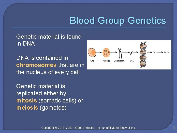 Blood Group Genetics Genetic material is found in DNA is contained in chromosomes that