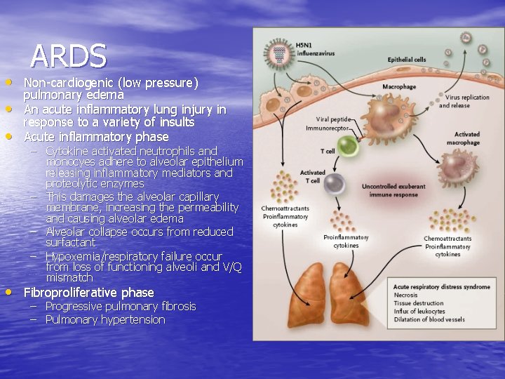 ARDS • Non-cardiogenic (low pressure) • • pulmonary edema An acute inflammatory lung injury