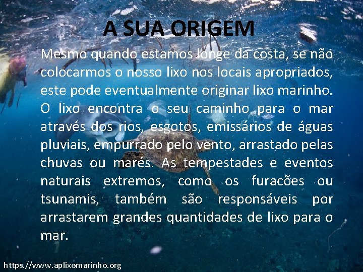 A SUA ORIGEM Mesmo quando estamos longe da costa, se não colocarmos o nosso