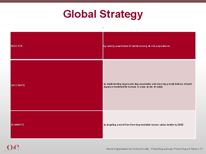 Global Strategy. EDUCATE by raising awareness of rabies among at-risk populations VACCINATE by implementing