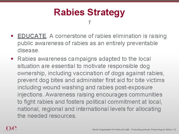 Rabies Strategy 1 § EDUCATE. A cornerstone of rabies elimination is raising public awareness