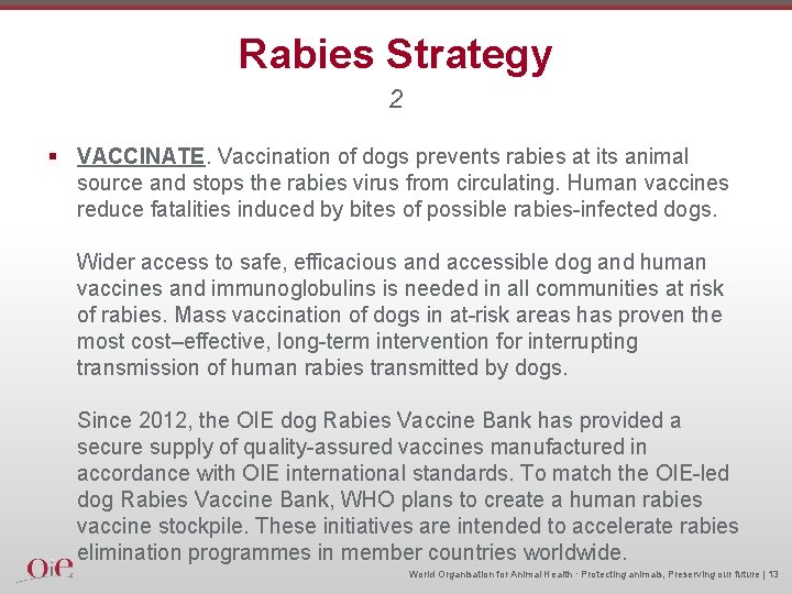 Rabies Strategy 2 § VACCINATE. Vaccination of dogs prevents rabies at its animal source