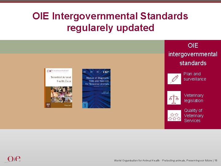 OIE Intergovernmental Standards regularely updated OIE intergovernmental standards Plan and surveillance under veterinary supervision