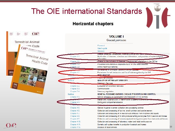 The OIE international Standards Horizontal chapters World Organisation for Animal Health · Protecting animals,