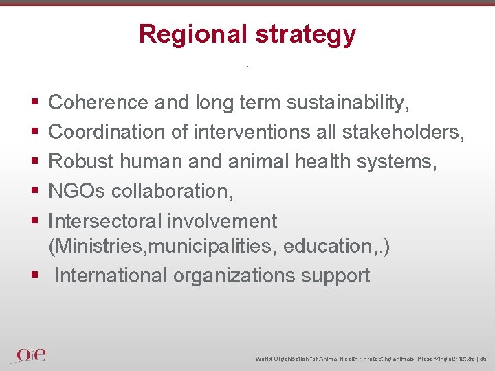 Regional strategy. § § § Coherence and long term sustainability, Coordination of interventions all