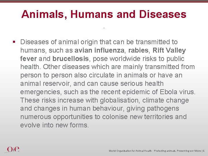 Animals, Humans and Diseases. § Diseases of animal origin that can be transmitted to