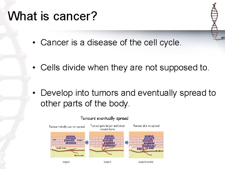 What is cancer? • Cancer is a disease of the cell cycle. • Cells