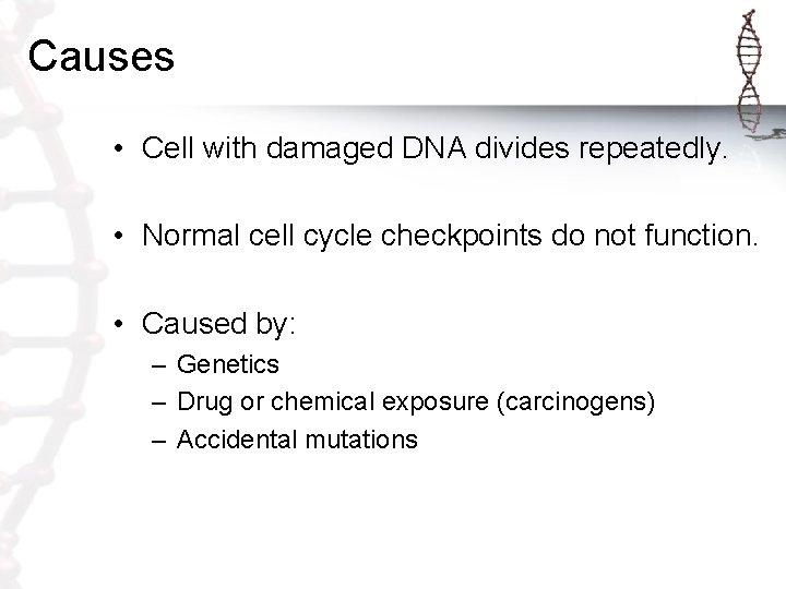 Causes • Cell with damaged DNA divides repeatedly. • Normal cell cycle checkpoints do
