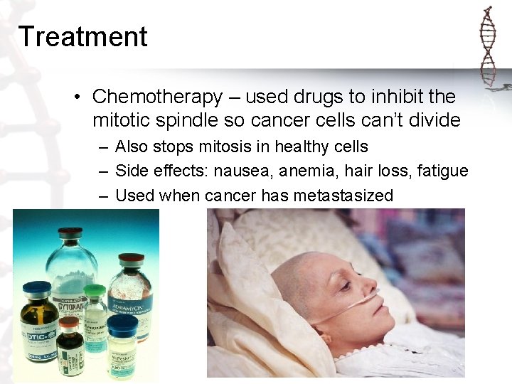 Treatment • Chemotherapy – used drugs to inhibit the mitotic spindle so cancer cells