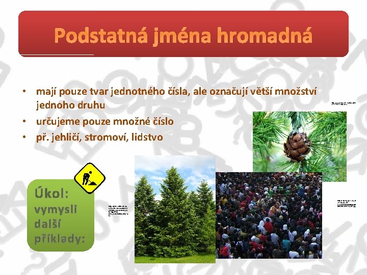 Podstatná jména hromadná • mají pouze tvar jednotného čísla, ale označují větší množství jednoho