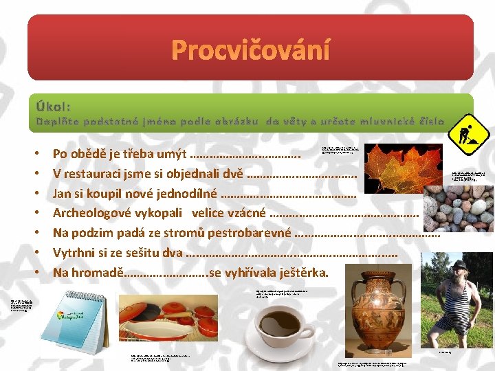 Procvičování Úkol: Doplňte podstatné jméno podle obrázku do věty a určete mluvnické číslo •