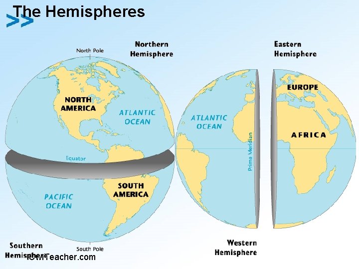 The Hemispheres Owl. Teacher. com 