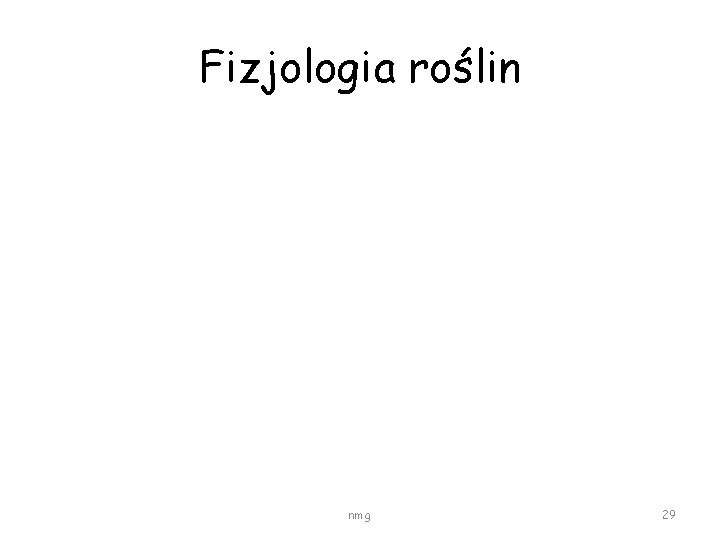 Fizjologia roślin nmg 29 