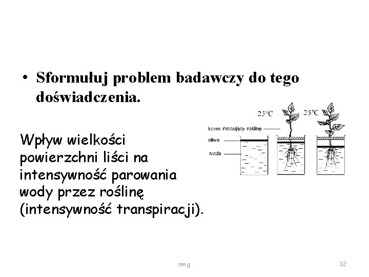  • Sformułuj problem badawczy do tego doświadczenia. Wpływ wielkości powierzchni liści na intensywność