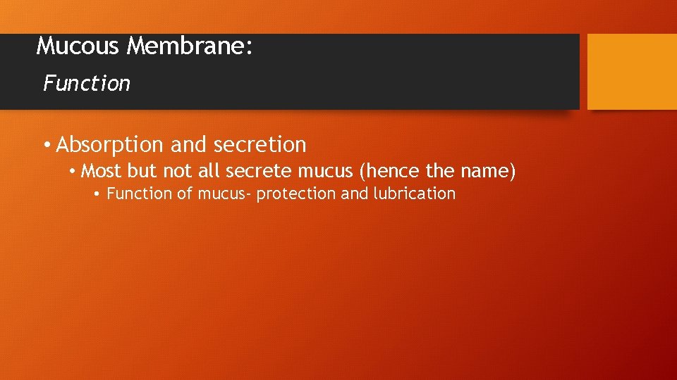 Mucous Membrane: Function • Absorption and secretion • Most but not all secrete mucus