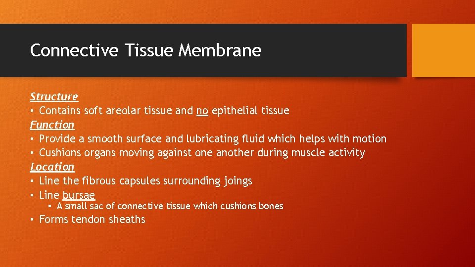Connective Tissue Membrane Structure • Contains soft areolar tissue and no epithelial tissue Function