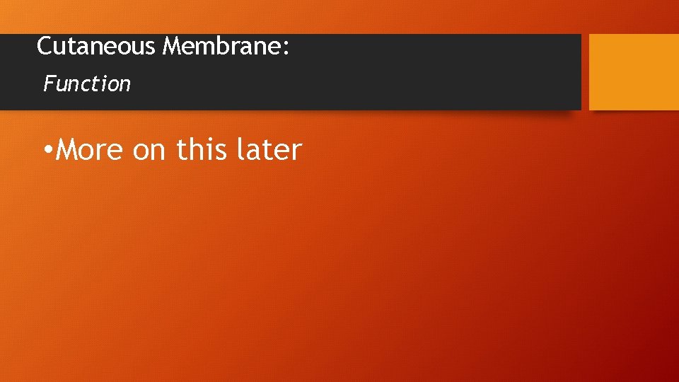 Cutaneous Membrane: Function • More on this later 