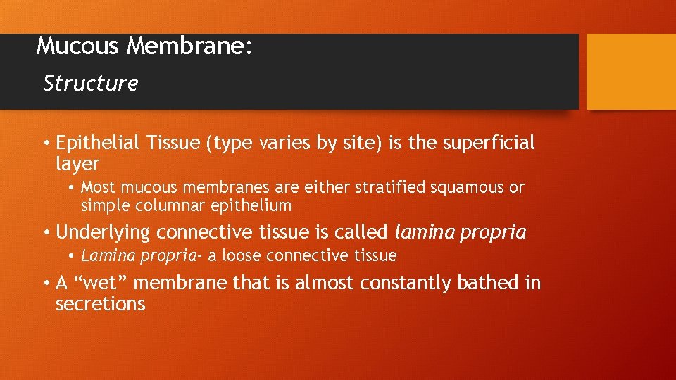 Mucous Membrane: Structure • Epithelial Tissue (type varies by site) is the superficial layer