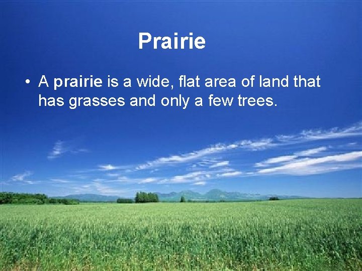 Prairie • A prairie is a wide, flat area of land that has grasses