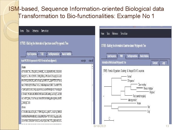 ISM-based, Sequence Information-oriented Biological data Transformation to Bio-functionalities: Example No 1 6/18/2021 13 