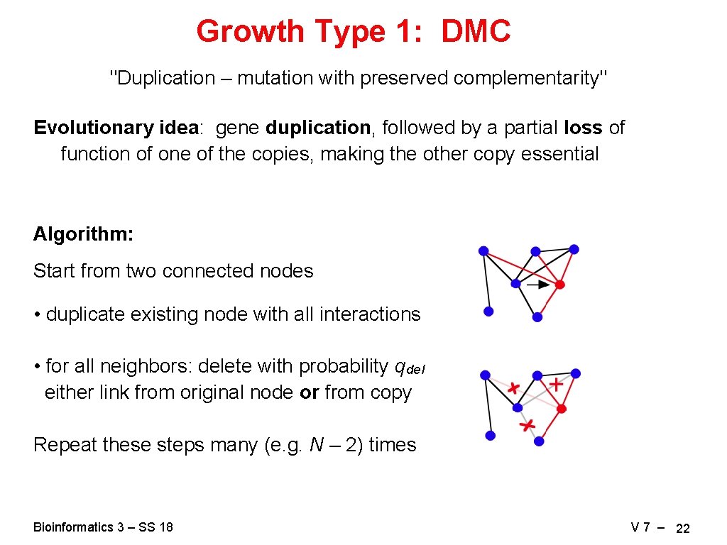 Growth Type 1: DMC "Duplication – mutation with preserved complementarity" Evolutionary idea: gene duplication,