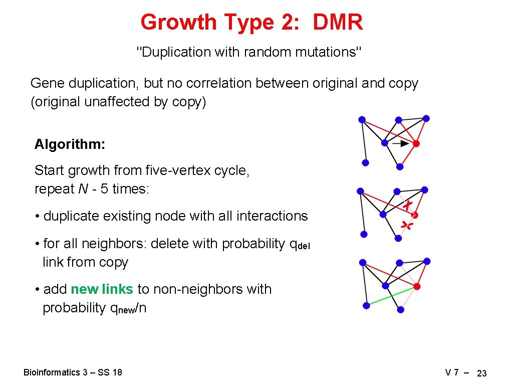 Growth Type 2: DMR "Duplication with random mutations" Gene duplication, but no correlation between